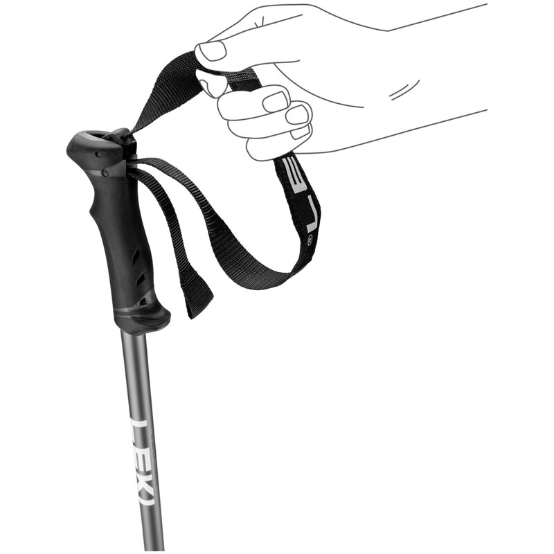 Leki QNTM Ski Poles