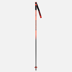 Rossignol Hero Carbon Poles (25/26)