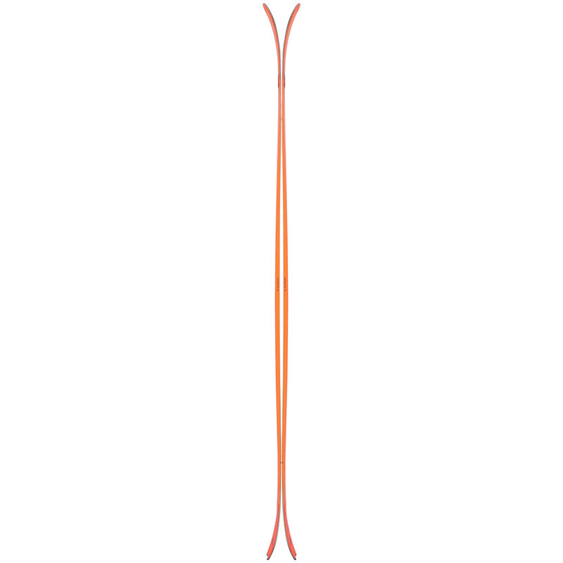 Black Crows Draco Freebird Skis (25/26) - Ski Town