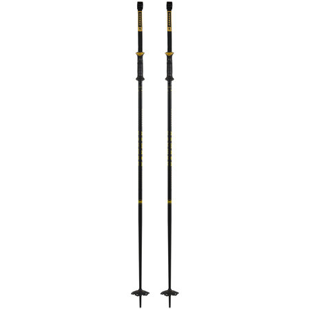 Armada Triad BB Ski Poles (24/25)