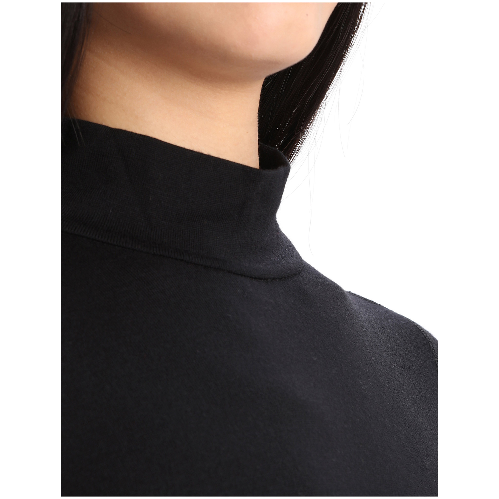 Icebreaker Merino 260 Tech LS Turtleneck W (25/26)
