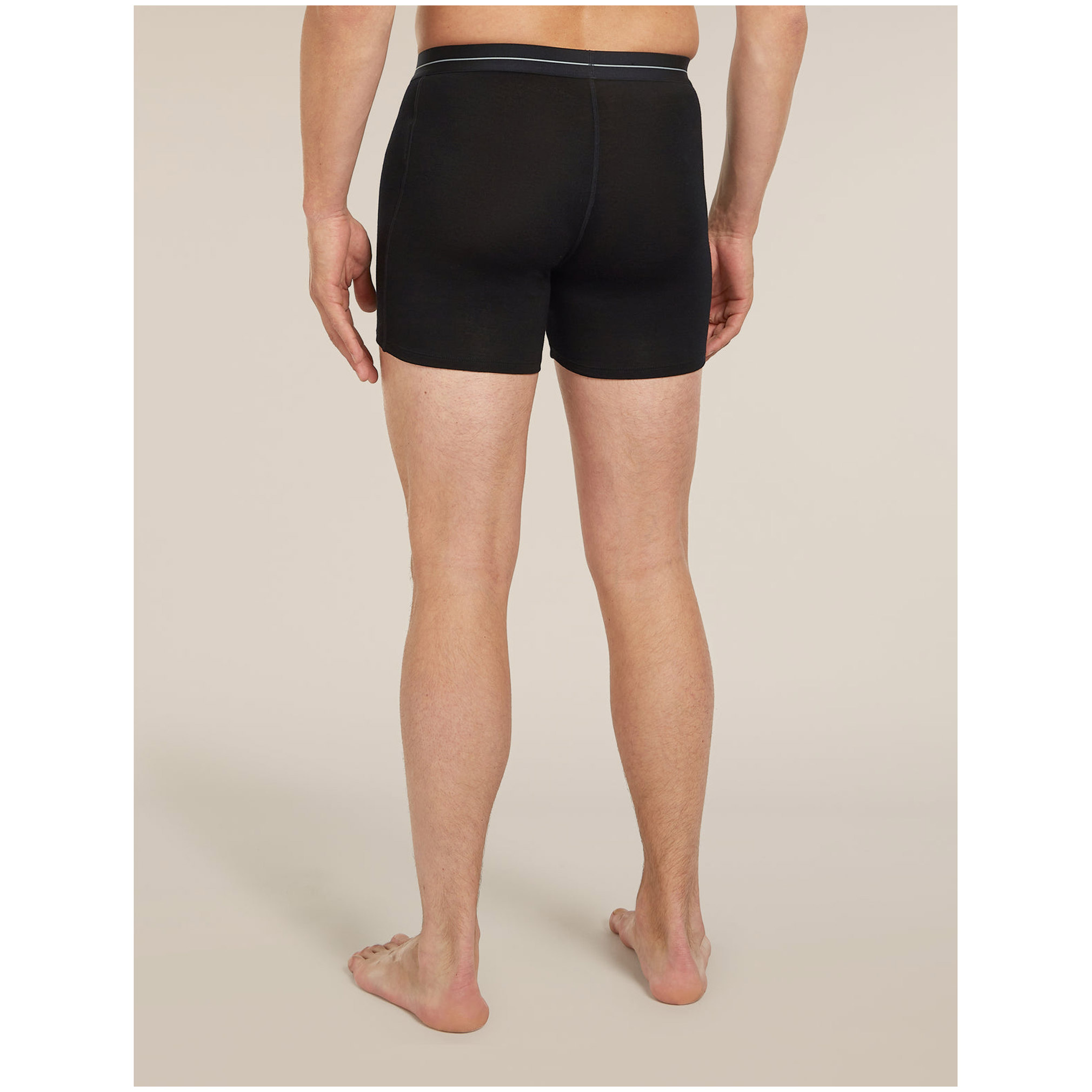 Icebreaker 150 Anatomica Boxers wFly M (25/26)