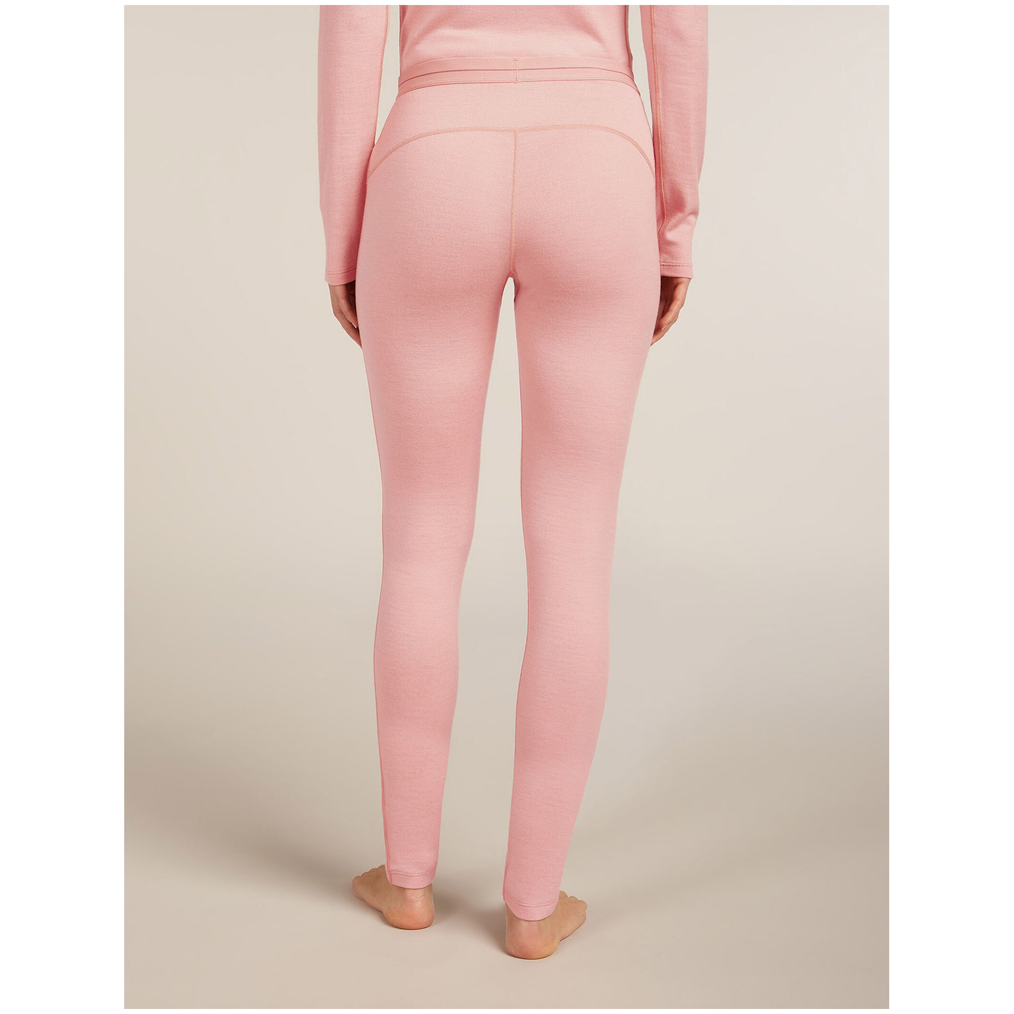 Icebreaker 260 Tech W Leggings (25/26)