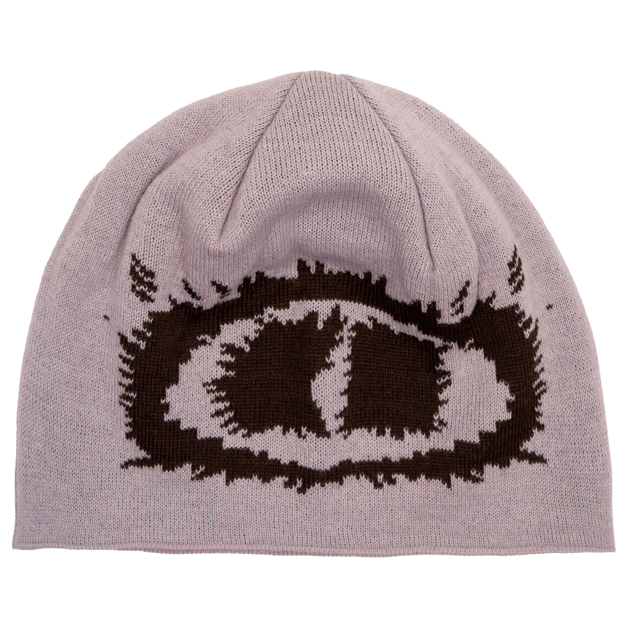 Armada AR Skully Beanie (26/27)