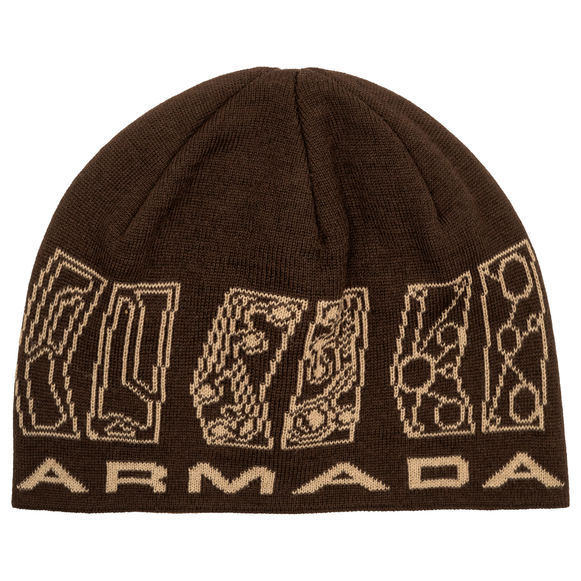 Armada AR Skully Beanie (26/27)