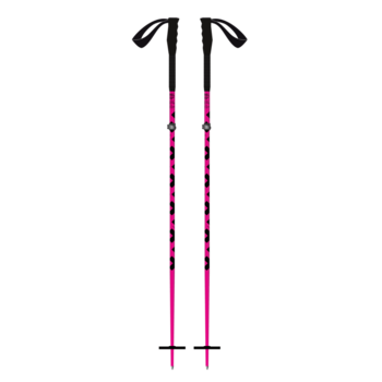 Black Crows Sector Ski Poles (26/27)