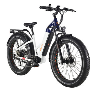 Ride Bike Style Grizzly 500W 48V 20Ah 2022 - Cadre Bas