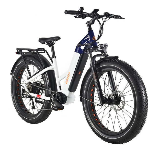 Ride bike Style Ride Bike Style Grizzly 500W 48V 20Ah 2022 - Cadre Bas
