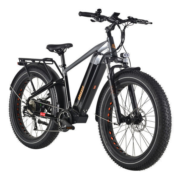 Ride bike Style Ride Bike Style Grizzly 500W 48V 20Ah 2022 - Cadre Haut Noir et Gris