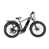 Ride Bike Style Grizzly 500W 48V 20Ah 2022 - Cadre Haut Noir et Gris