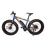 Fat Bike Ugocycle Coutry Rambler- 48v 500w/15ah
