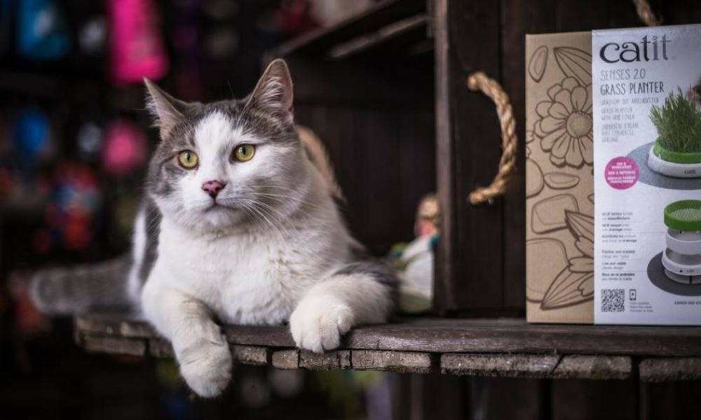 Furminator - Outil De Ramassage Du Poil - Mel'Animo - Centre de bien-être  animal