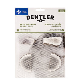 Dentler Dentler - Bois De Cerf Pour Rongeurs