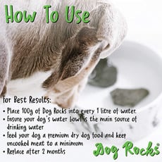 Dog Rocks Dog Rocks - Roches Naturelles Prevention Brûlures Gazon