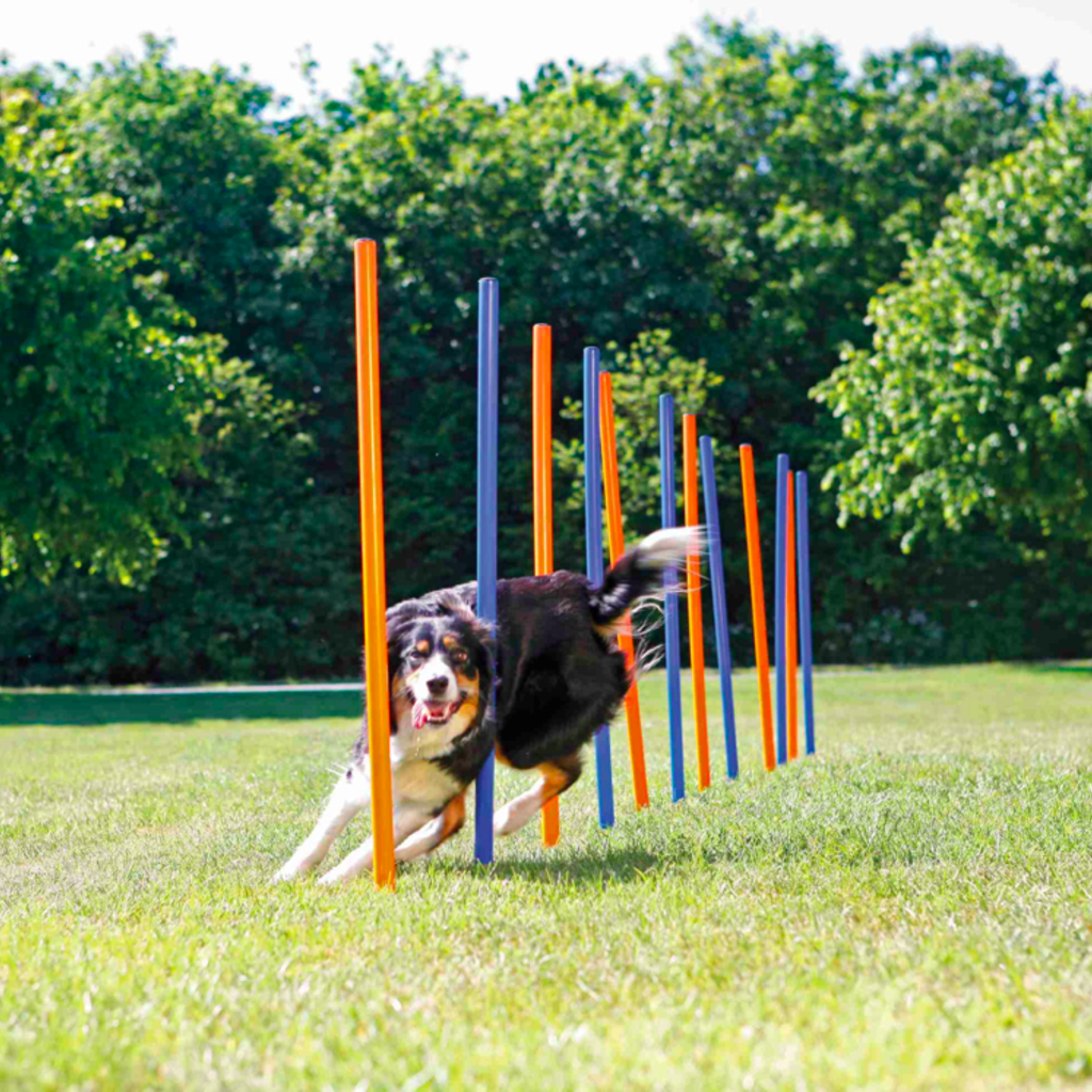 Trixie Trixie - Agility Slalom