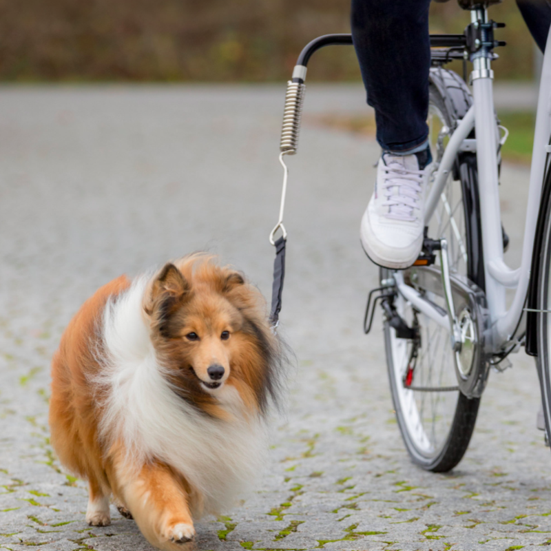 Trixie Trixie - Ensemble De Vélo Pour Chien