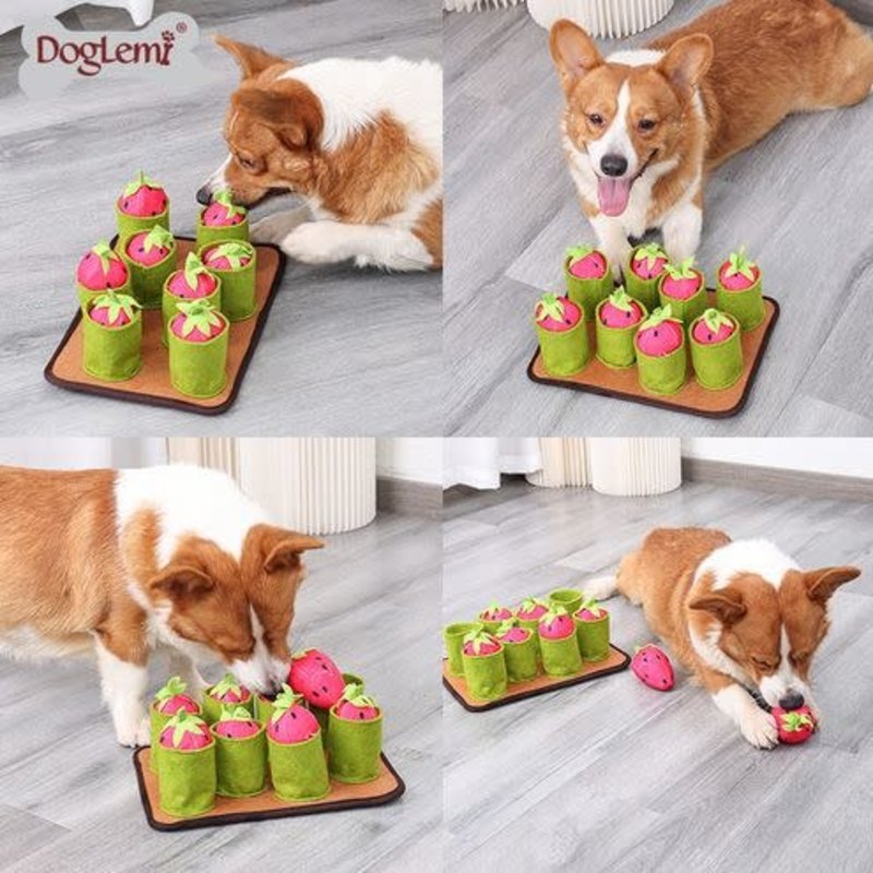 Stimulation Canine Stimulation Canine - Peluche Interactive - Jardin De Fraises