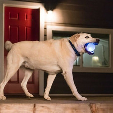 Planet Dog Planet Dog - Balle Strobe Illuminante - Verte