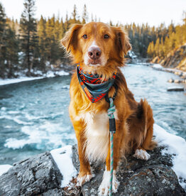 Wilderdog Wilderdog - Bandana Rafraichissant