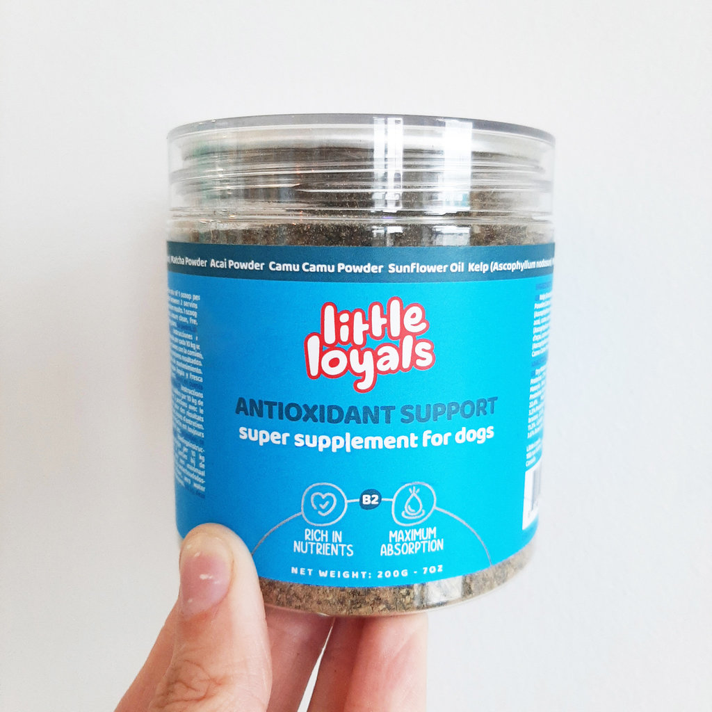 Little Loyals Little Loyals - Super Antioxydants 150g