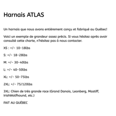 Le Chien Blanc Le Chien Blanc - Harnais "Atlas"