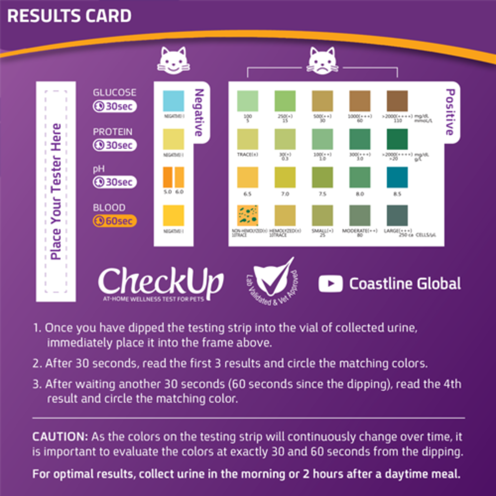 Checkup CheckUp - Test De Bien-Être À Domicile Pour Chat
