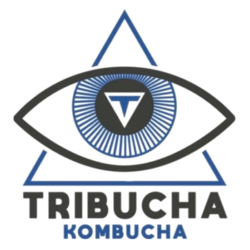Tribucha Tribucha - Chill Berry 12oz Can