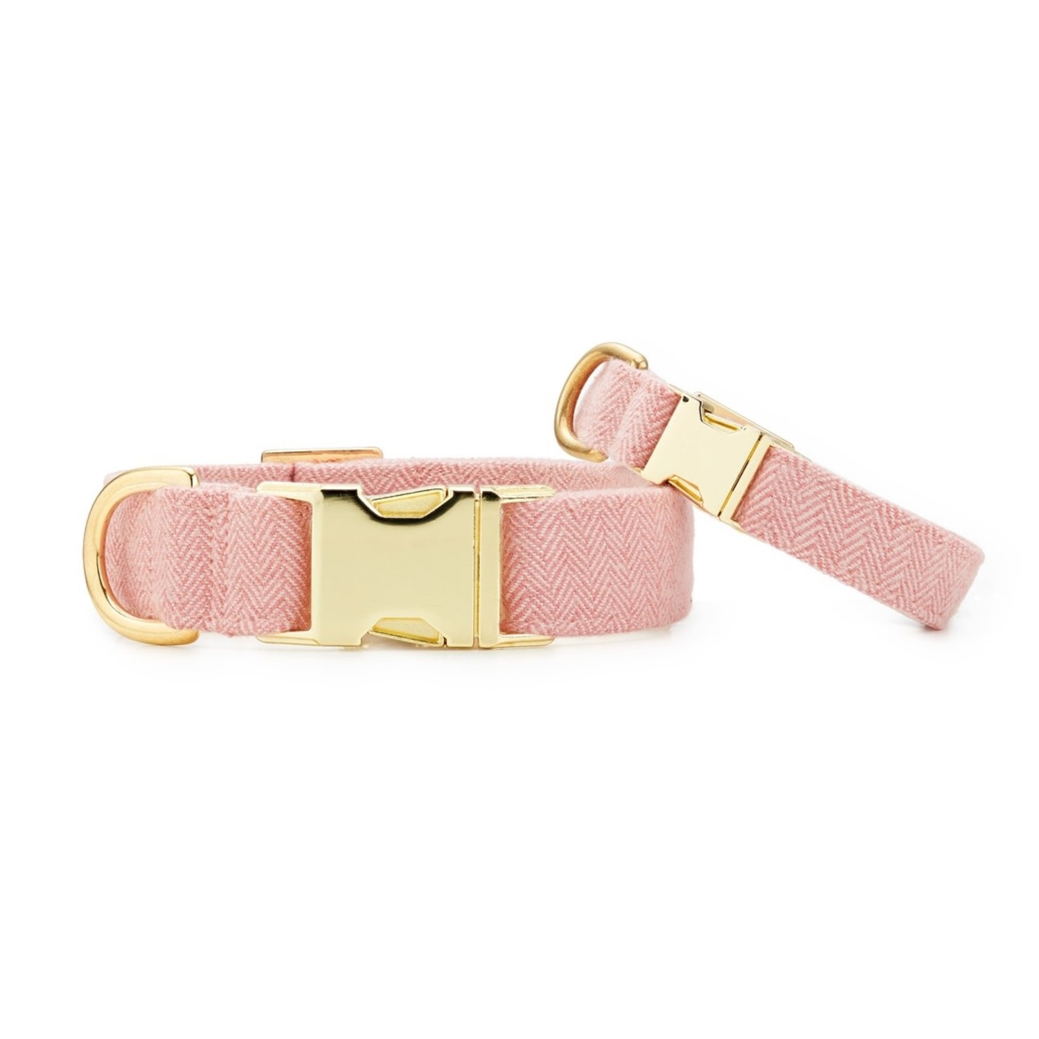 lily dog collar