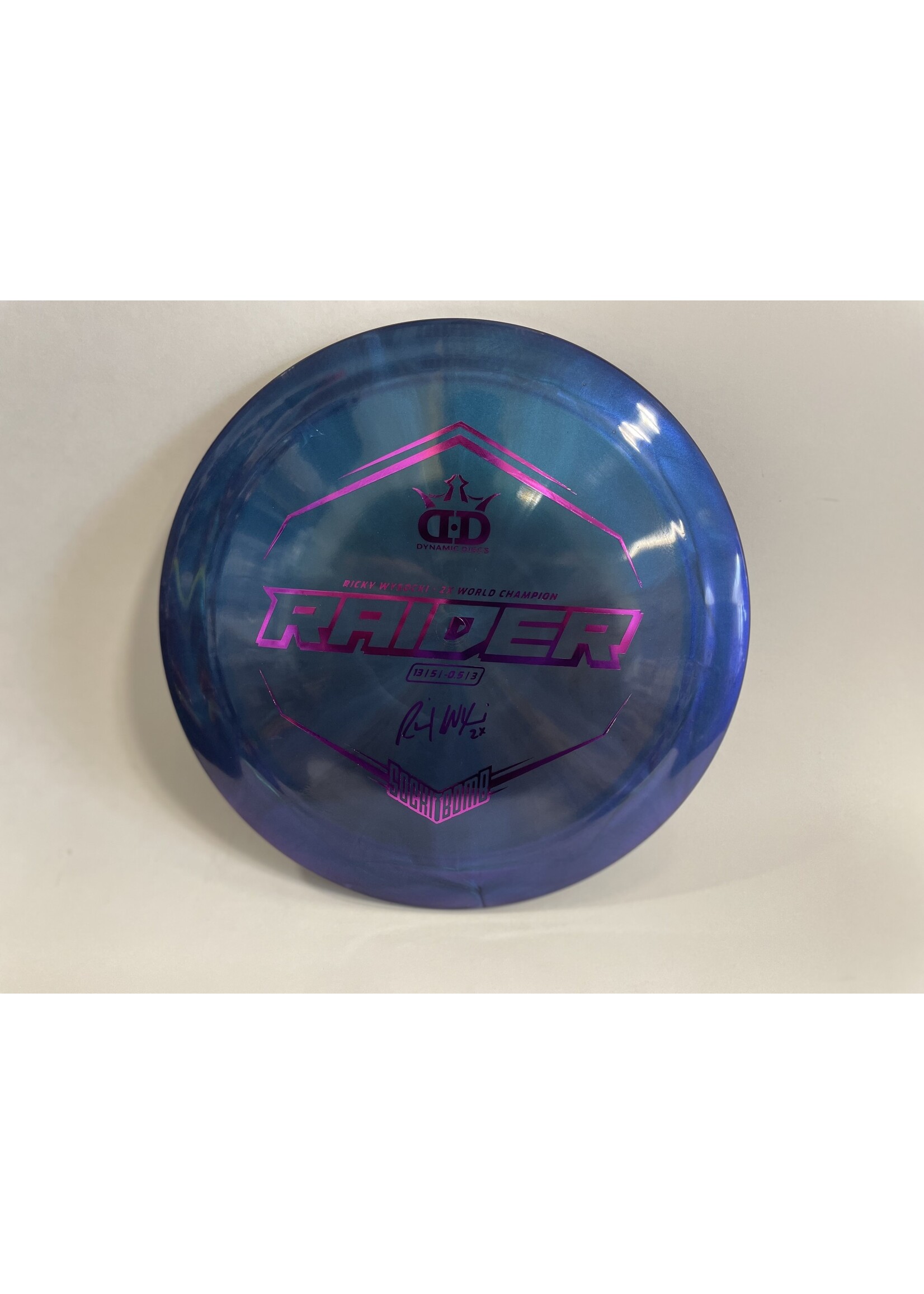 Dynamic Discs DYNAMIC RAIDER