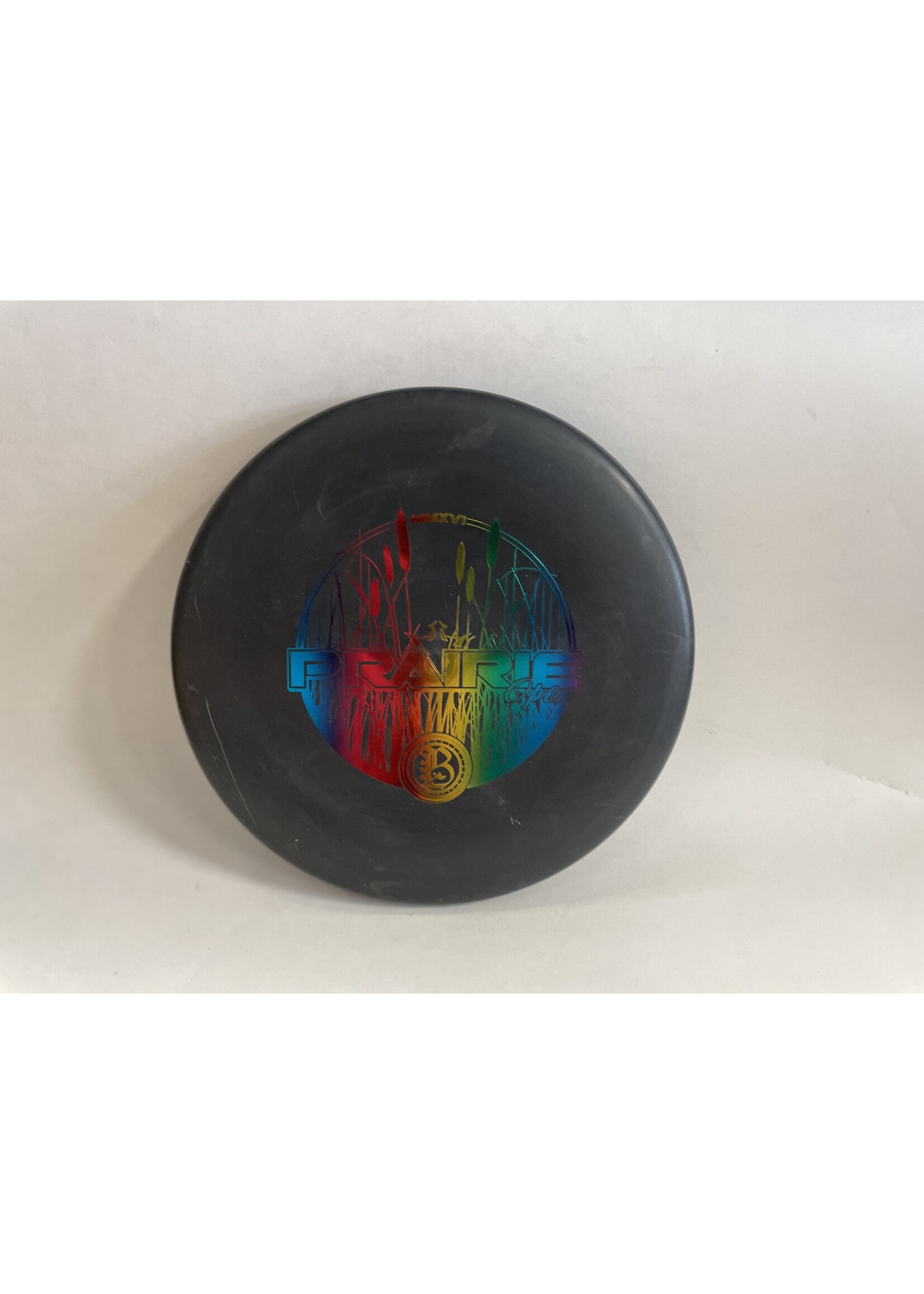 Dynamic Discs DYNAMIC PRAIRIE OPEN WARDEN