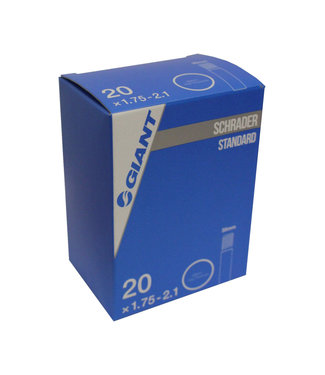 GIANT Giant 20X1.75-2.1 SV 35MM