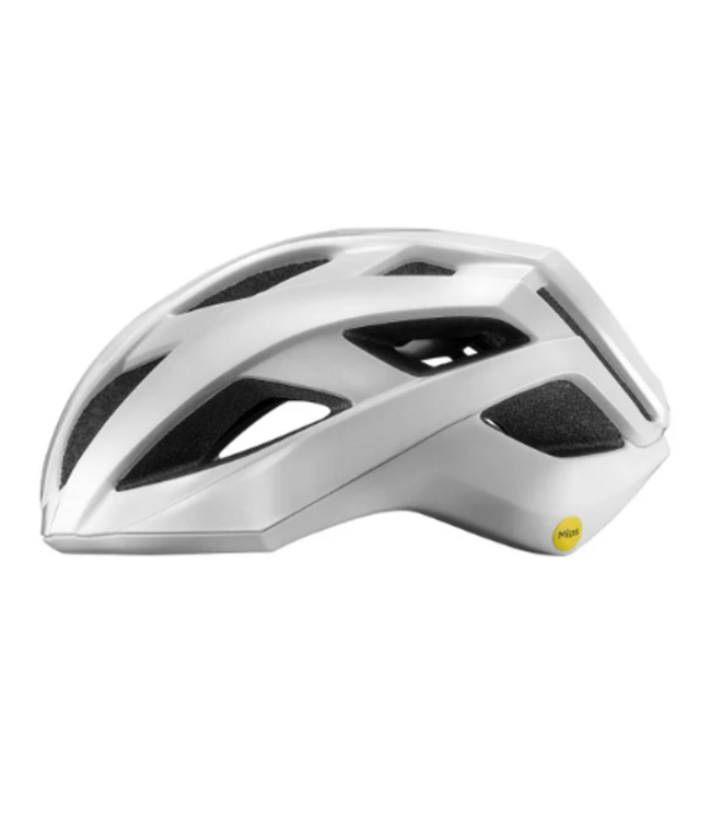 GIANT REV COMP MIPS HELMET