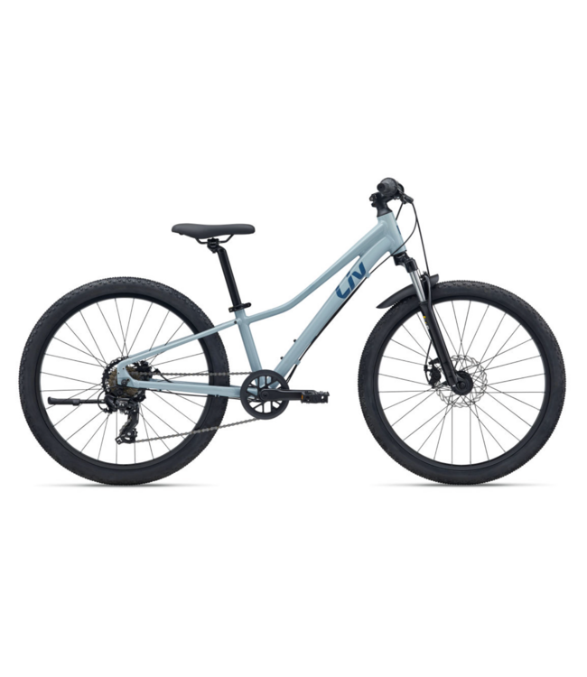 2026 Liv Tempt 24 Disc One Size Dusty Blue
