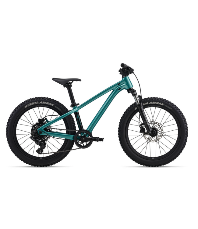 2026 Giant STP 20 FS One Size Teal