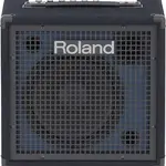 Keyboard Amps