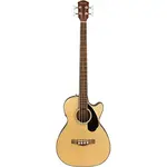 Acoustic Bass Guitars