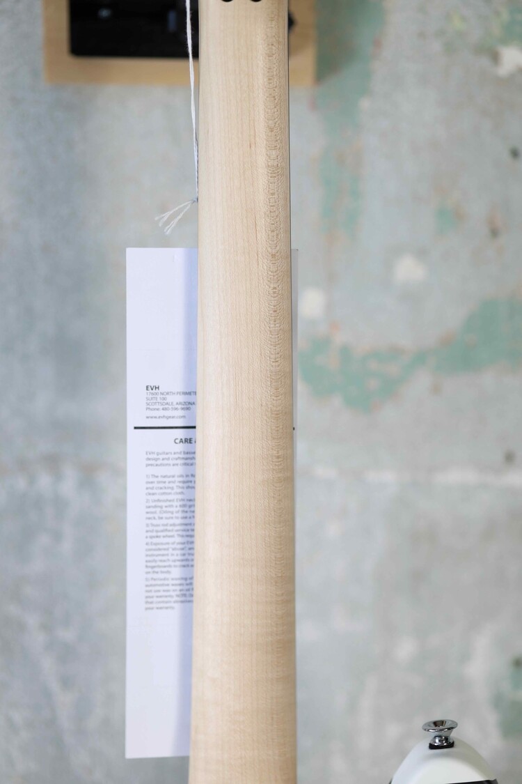 EVH EVH Wolfgang Special Striped Series, Ebony Fingerboard - Black and White