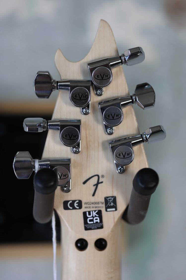 EVH EVH Wolfgang Special Striped Series, Ebony Fingerboard - Black and White