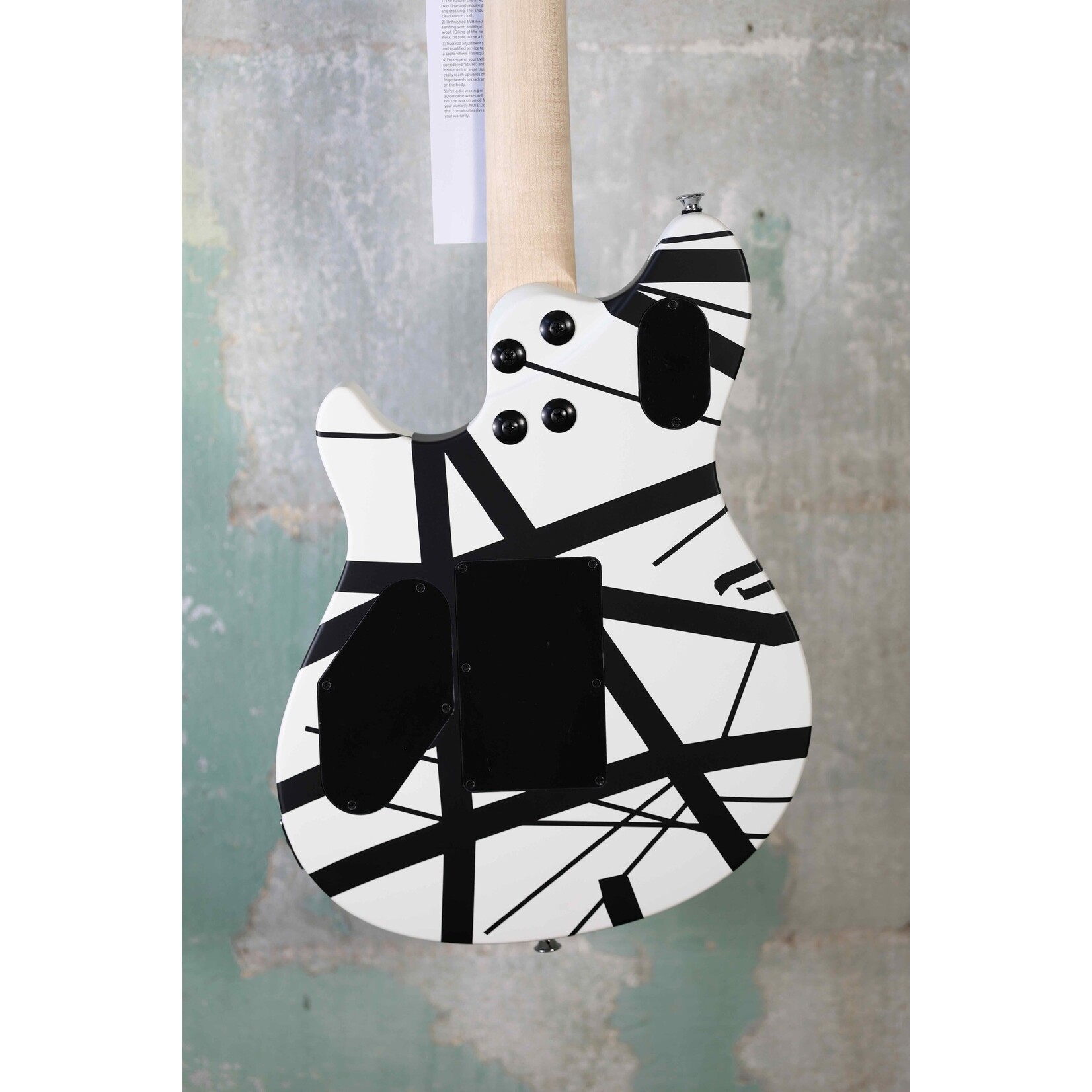 EVH EVH Wolfgang Special Striped Series, Ebony Fingerboard - Black and White
