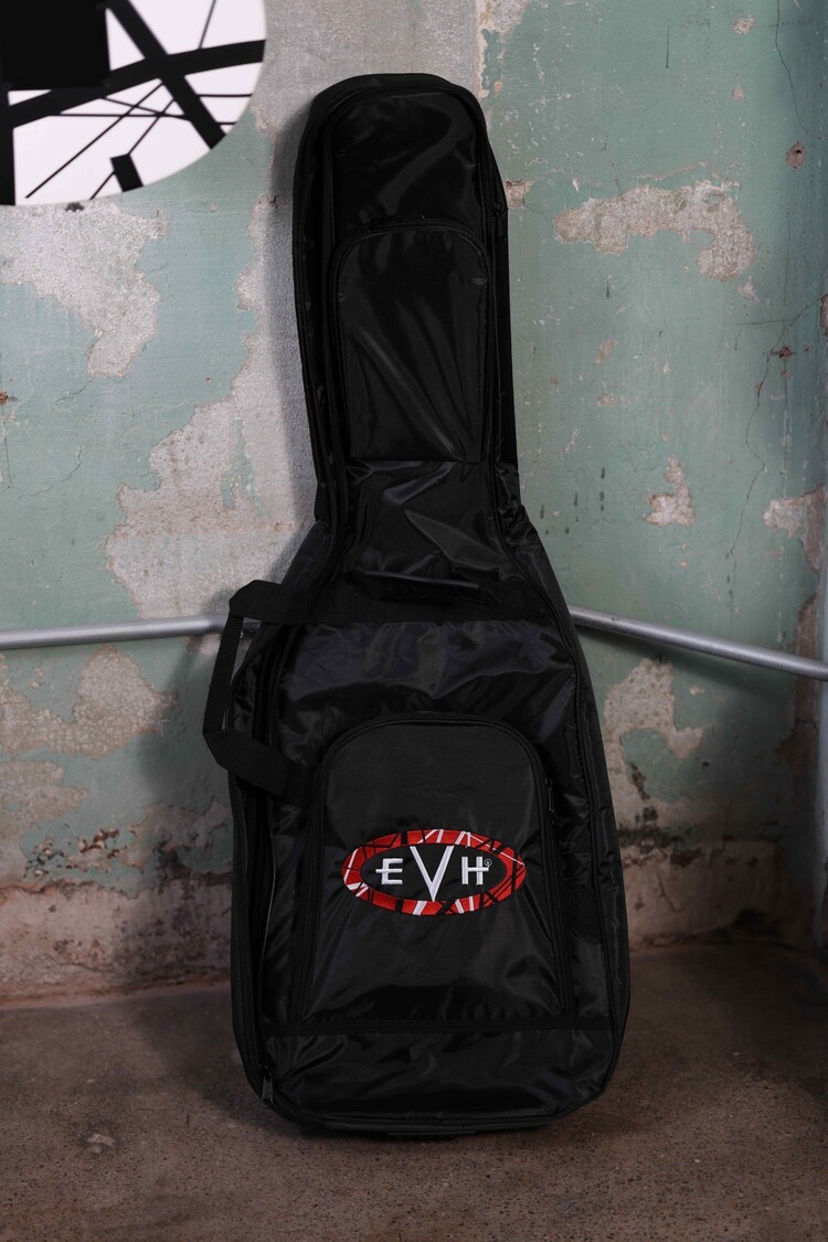 EVH EVH Wolfgang Special Striped Series, Ebony Fingerboard - Black and White