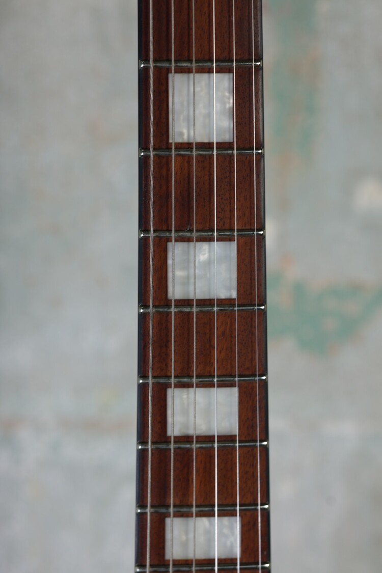 ESP LTD ESP LTD EC-201FT - See Thru Black Cherry