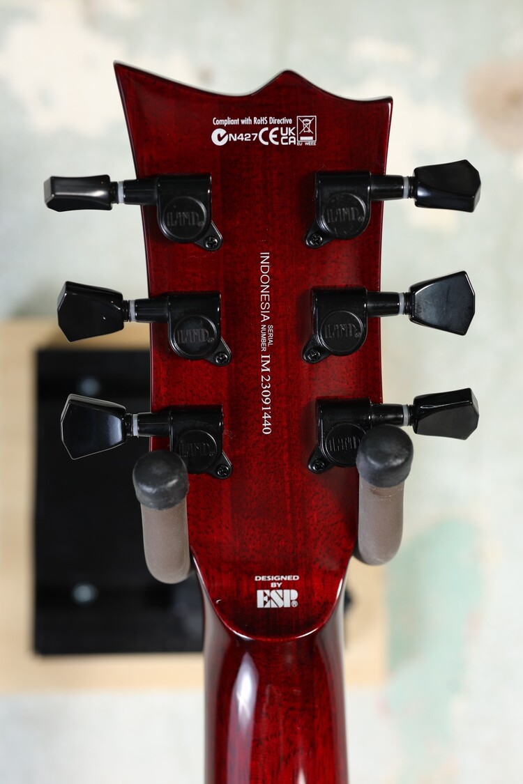 ESP LTD ESP LTD EC-201FT - See Thru Black Cherry