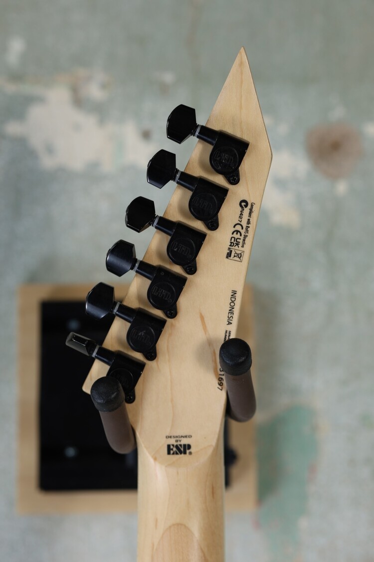 ESP LTD ESP LTD M-200FM - See Thru Black