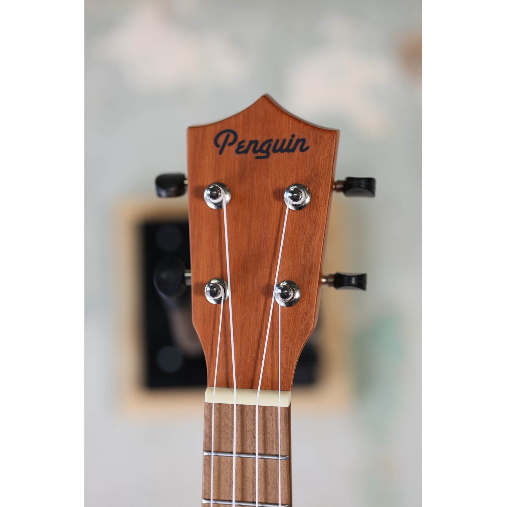 Amahi Penguin PGUKMS Penguin Mahogany, Soprano