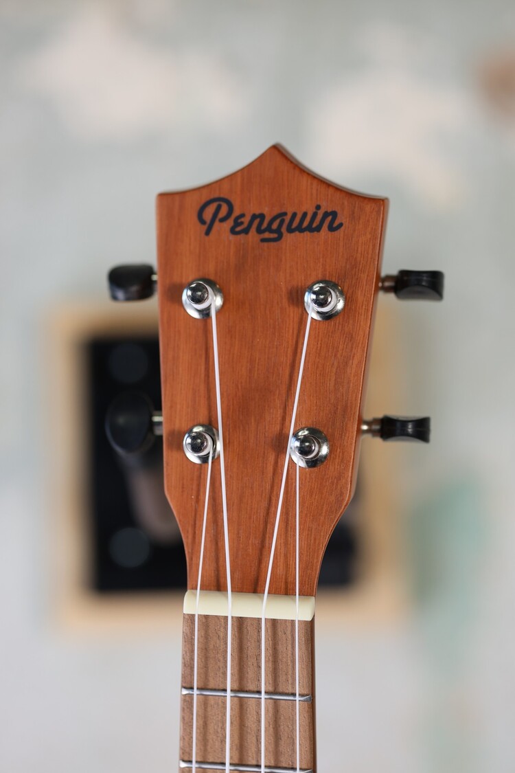 Amahi Penguin PGUKMS Penguin Mahogany, Soprano