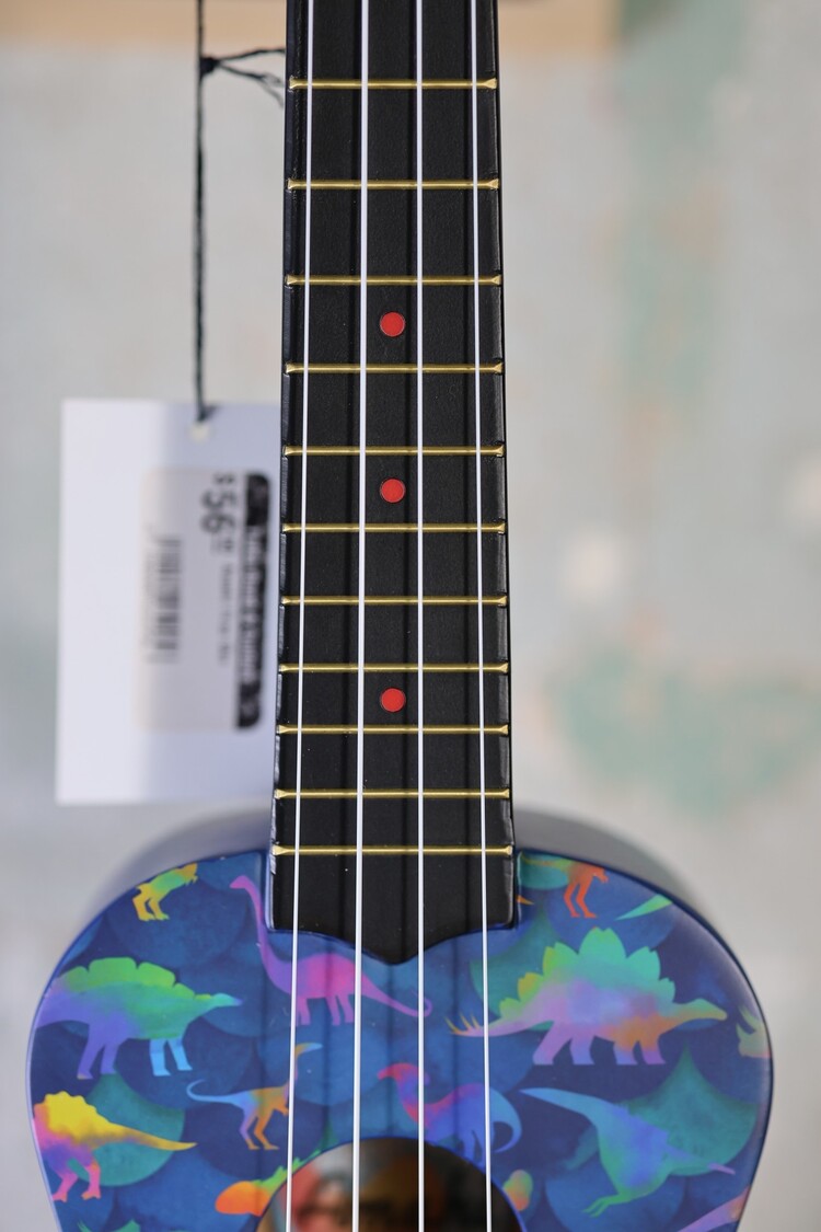 Amahi Amahi DDUK19 Dinosaur Design, Soprano