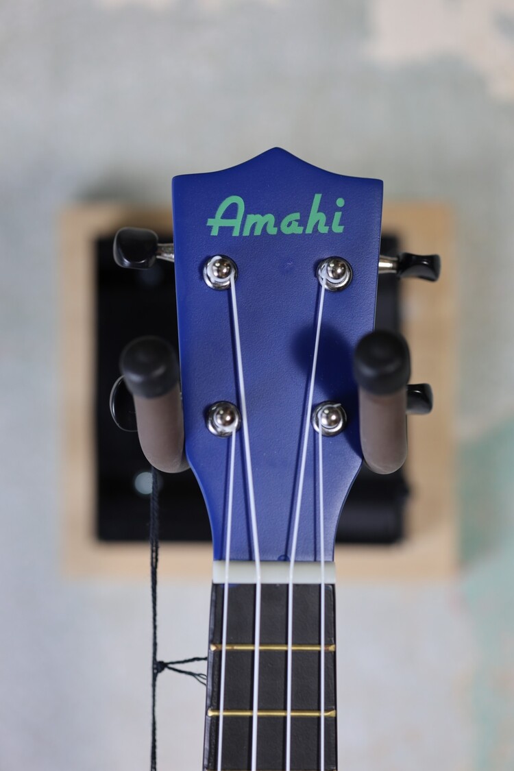 Amahi Amahi DDUK19 Dinosaur Design, Soprano