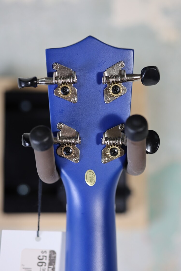 Amahi Amahi DDUK19 Dinosaur Design, Soprano