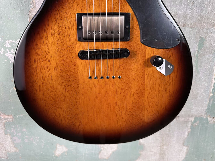 ESP LTD ESP LTD EC-01FT - Vintage Burst