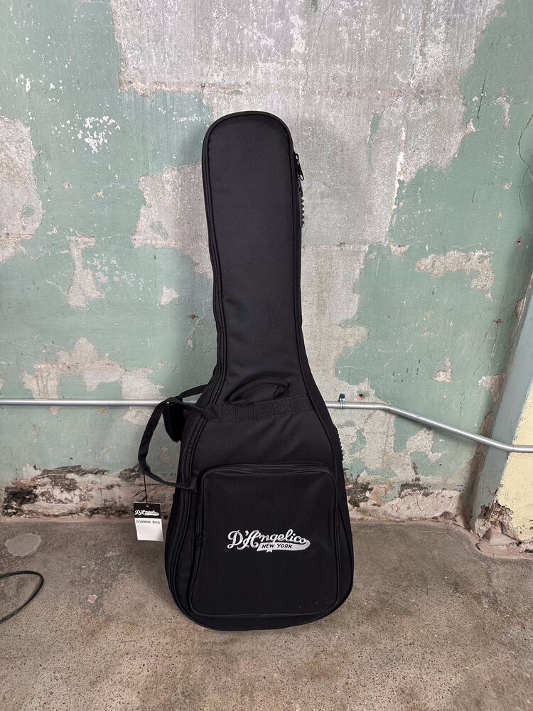 D'Angelico D'Angelico Excel Tammany - Vintage Natural